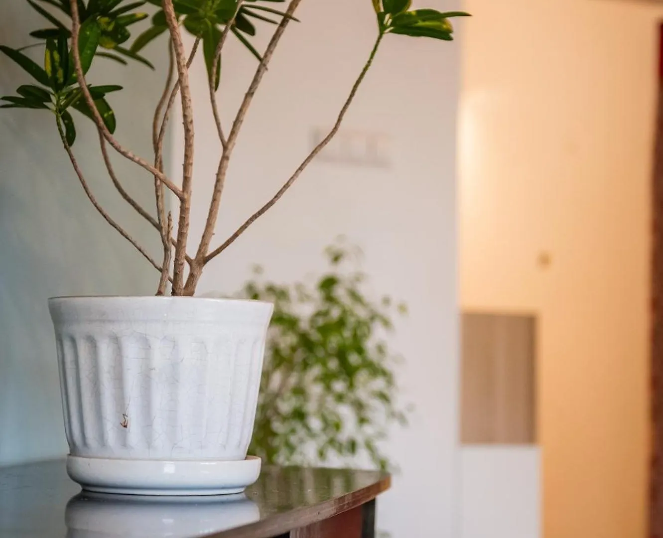 Attic Apartment Wawelofts Krakow